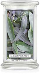 Kringle Candle Eucalyptus Mint nagy 2 kanócos illatgyertya (624 g),