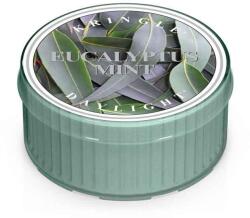 Kringle Candle Eucalyptus Mint illatgyertya (35 g),