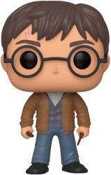 Funko Figură Funko POP! Movies: Harry Potter - Harry Potter (Special Edition) #118 (FK47345)