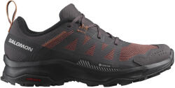 Salomon Ardent Gore-Tex női túracipő Cipőméret (EU): 38 (2/3) / fekete/barna