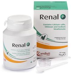 Candioli Pharma Renal P por 70 g