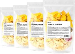 Vilgain Amestec de fructe tropicale liofilizate -⁠ amestec de fructe uscate prin îngheț, cu o compoziție 100% naturală și perfect crocantă - vilgain - 75,96 RON