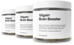 Vilgain Brain Booster -⁠ ginkgo biloba susține funcțiile cognitive, panax ginseng susține vigilența și memoria, gotu susține sănătatea mintală - vilgain - 239,97 RON