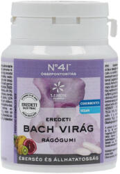 Bach virágterápiás rágógumi összpontosít 60g