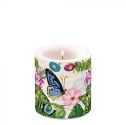 Ambiente AMB. 19214985 Romantic Pure átvilágítós gyertya 8x7, 5cm (8712159167672)