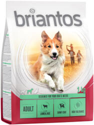 Briantos 1kg Briantos Adult bárány & rizs száraz kutyatáp
