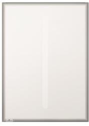 DURABLE Információs tasak, elektrosztatikus, A3, DURABLE (DB502257)