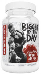 Rich Piana 5% Nutrition Rich Piana 5% Bigger By The Day Turkesterone 120 caps