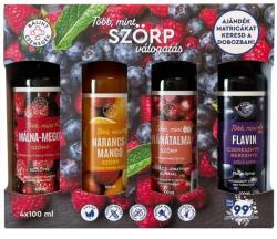 Bálint Cseppek Több mint szörp válogatás - Gyümölcsös FLAVIN - 4x100ml