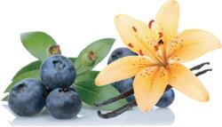 Warrior WPC 80 - CFM tejsavófehérje Blueberry Vanilla 1kg