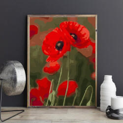 Pictorul Fericit Pair of poppies - Pictură pe numere Panza pictura