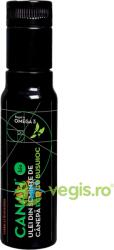 Canah Ulei de Canepa Cu Busuioc Ecologic/Bio 100ml