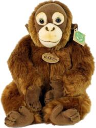 Rappa Jucărie de pluș Rappa Eco Friends - Orangutan, așezat, 27 cm (211841)