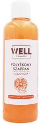 Well Folyékony szappan WELL narancsos-csoki 1L (5997104704420)