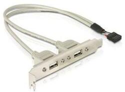 Delock 71000 Slot konzol 1x belső USB 9tűs > 2x USB2.0 külső (71000) - iconink