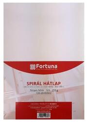Fortuna Hátlap FORTUNA A4 250g fényes fehér 100/dob (FO00102) - iconink