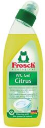 Frosch WC tisztítógél, 750 ml, FROSCH, citrus (31140091) - iconink