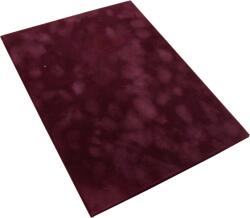 Bluering Oklevéltartó A5, prémium, Bluering® bordó (45290)