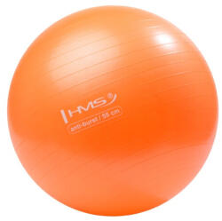 HMS YB02N Gimnasztikai labda 55 cm Szín: Narancssárga (ABI-17-42-171)