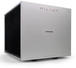 Pilium Amplificatoare De Putere Monobloc Pilium Hercules MY25 Pereche - Divine Line