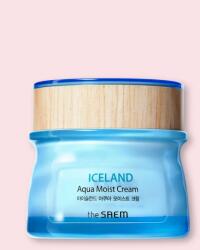 the SAEM Iceland Aqua Moist Cream hidratáló arckrém - 60 ml