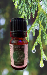  Illóolaj 100% Ciprus 10ml (Ciprus)
