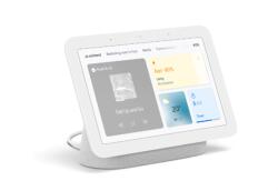 Google Nest Hub (Gen 2) (Home Hub (Chalk) GA01331-IT)
