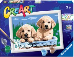 Ravensburger Pictura Pe Numere - Catelusi (RVSPBN28931)