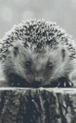 Pixelhobby 808083 Fekete fehér süni szett 8 alaplapos (25, 4x40, 6 cm) (808083) - pepita