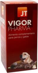 JT PHARMA JT Vigor Pharma szirup 55 ml