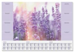 SIGEL Könyökalátét, 595x410 mm, 3 éves, heti tervezővel, SIGEL "Fragrant Lavender (SIHO308) - papirtar