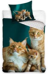 4-Home Lenjerie de pat din bumbac Cat Family, 140 x 200 cm, 70 x 90 cm