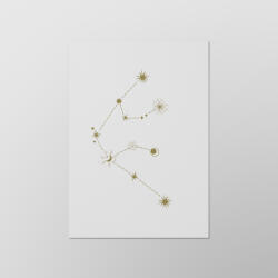  Csillagjegyek - Vízöntő