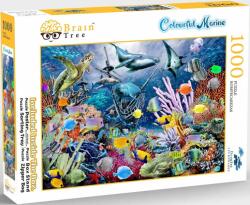 Brain Tree Colourful Marine 1000 db-os (2102039)