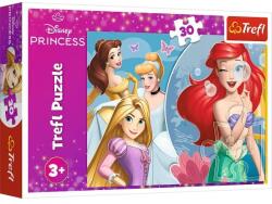 Trefl Disney Princess - Gyönyörű hercegnők 30 db-os (18308)