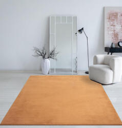  Modern szőnyeg Palm Plüss (Terra) 200x280cm Terra - fizz