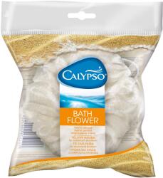 Calypso Fürdővirág