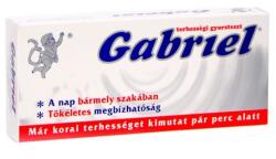  Gabriel Terhessegi Gyorsteszt 1X
