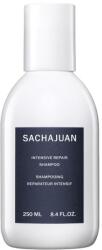 Sachajuan Intensive Repair Shampoo 250 ml - parminunat