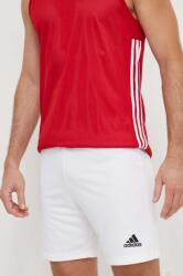 adidas Performance edzős rövidnadrág Entrada 22 fehér, HG6295 - fehér L