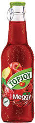 Topjoy Meggy-Alma 20% 0, 25l üveg 24/# DRS