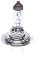 Bosch Bec, far faza lunga BOSCH ECO Truck WS 1 987 302 863 (1 987 302 863)