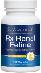 Rx Vitamins RX VITAMINS Renal Feline, supliment sistem renal câini, capsule RX VITAMINS Renal Feline, supliment sistem renal câini și pisici, flacon, 120 capsule