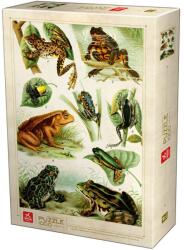DEICO Puzzle Encyclopedia - Broaște - Puzzle adulți 1000 piese (75703) Puzzle
