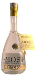 Bepi Tosolini Most Uve Miste (0, 5l)(40%)
