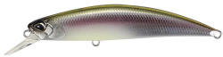 Duo SPEARHEAD RYUKI 70SP 7cm 4.1gr CRA3061 Komochi Wakasagi (DUO95380)