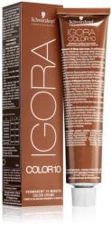 Schwarzkopf IGORA Color 10 tartós hajfesték árnyalat 5-0 Light Brown Natural 60 ml