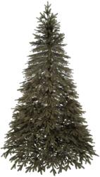 SPRINGOS Natural lucfenyő 180 cm (CT0148)