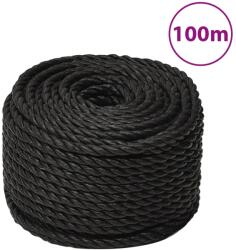 vidaXL fekete polipropilén munkakötél 10 mm 100 m (153013)