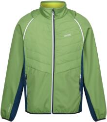 REGATTA Férfi Steren II Softshell hibrid kabát L kék|sárga|zöld